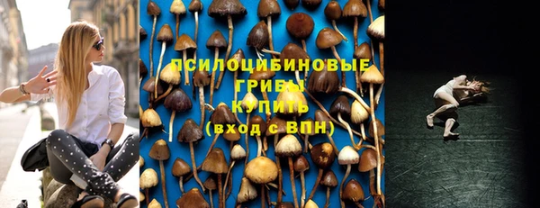 PSILOCYBIN Абаза