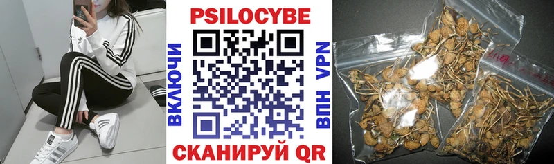 Галлюциногенные грибы MAGIC MUSHROOMS  закладки  Урус-Мартан 